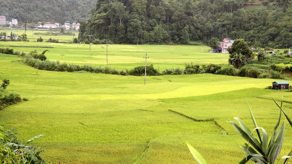 North Vietnam Bike Tour from Sapa, Bac Ha, Muong Khuong 5 Days